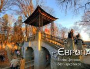 Белая Церковь без наркотиков