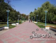 Васильков без наркотиков